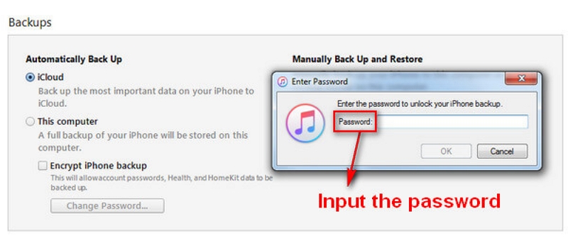 turn off the backup encryption iTunes With Password | Turn Off Backup File Encryption iTunes With Password