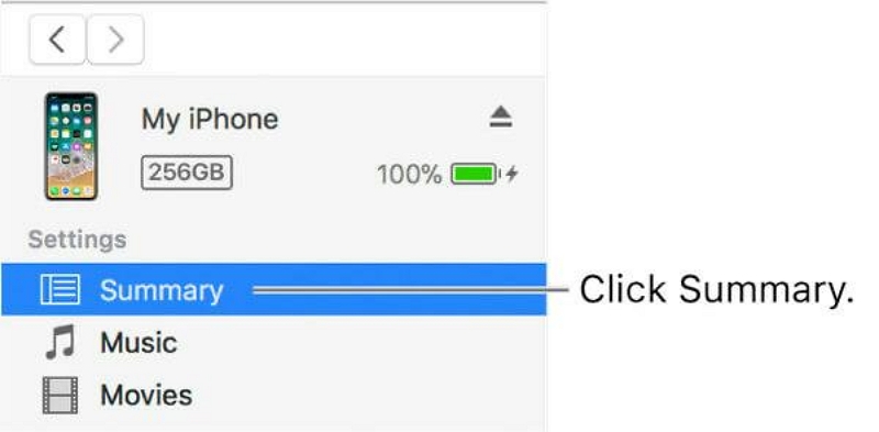 Click on Summary | Bypass Screen Time Passcode On iPad Without Password