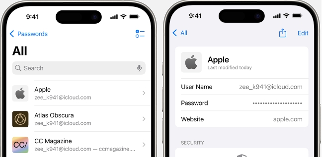 check Passwords app | Forgot Apple ID Password