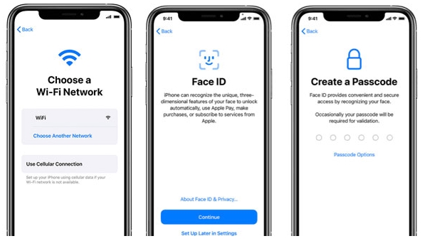 Set Face ID screen | Reset iPhone Passcode without Losing Data