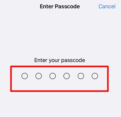 type device passcode | Bypass Remote Management on iPhone