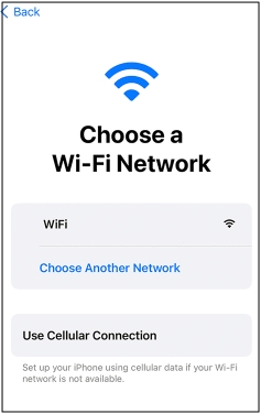 choose WiFi | dns bypass activation lock