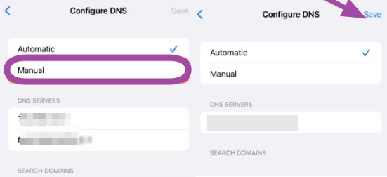 choose Manual | dns bypass activation lock
