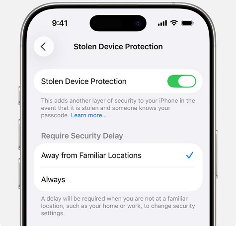 turn on Stolen Device Protection | Find My iPhone Alert Went Off by Itself