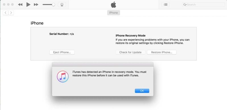 click OK | iPad Stuck in Boot Loop