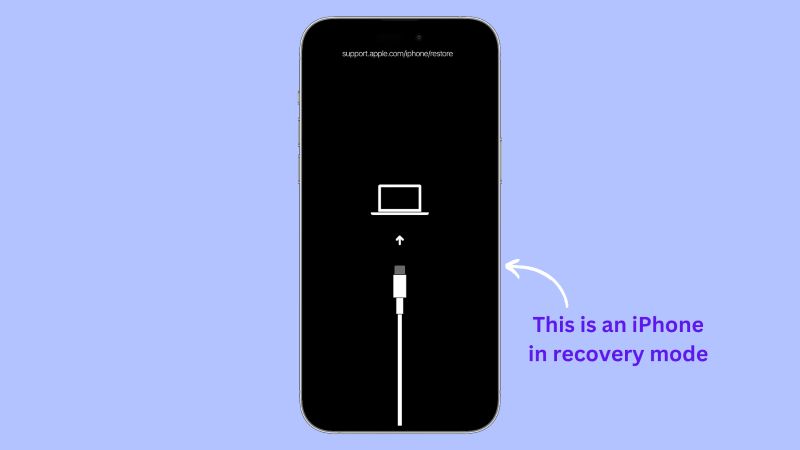iPhone recovery mode | iPhone Black Screen Spinning Wheel