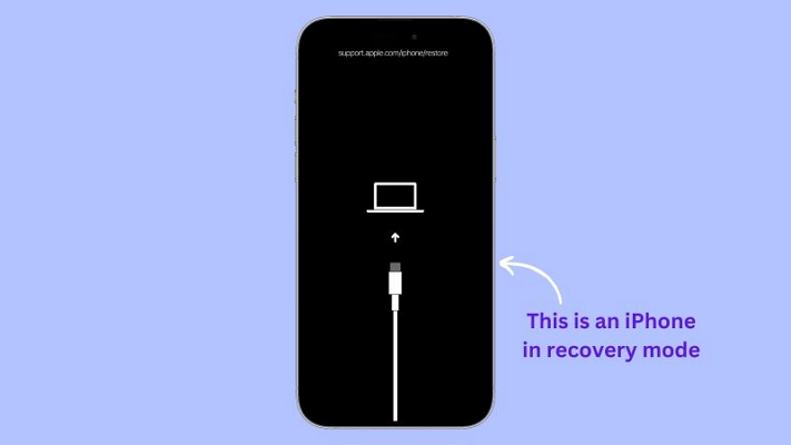 put iPhone into Recovery Mode | iPhone Red Screen