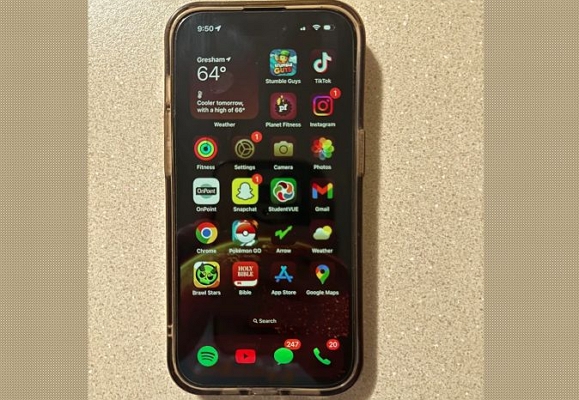 display driver glitch | iPhone Red Screen