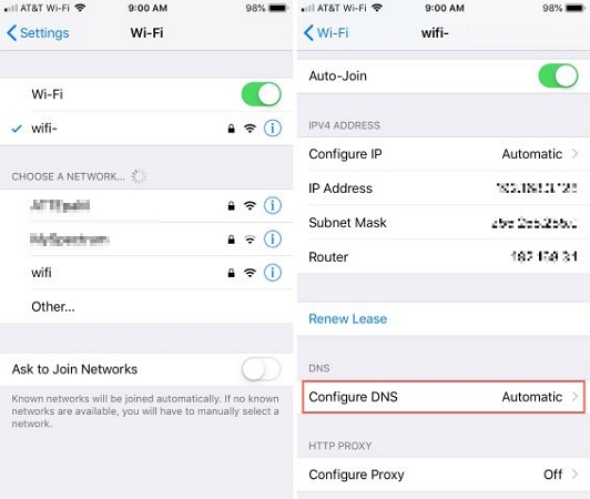 adjust DNS | Unable to Check for Update iPhone