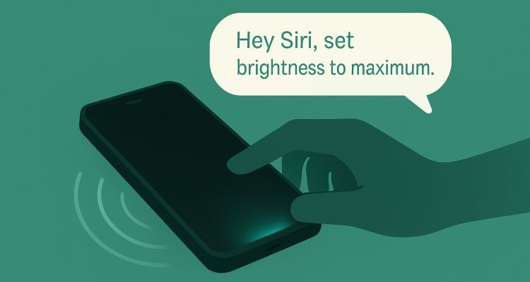 check brightness | iPhone Black Screen