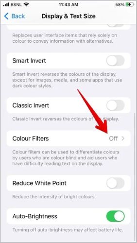 switch off Color Filters | iPhone Grey Screen