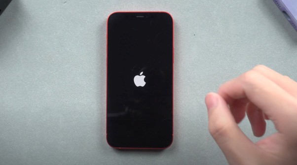 stuck in apple logo | recover photos from a broken iphone