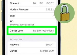 No SIM restrictions | how to unlock country lock in iphone 