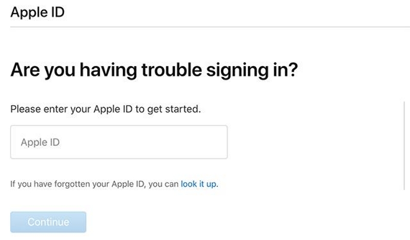 look up your forgotten Apple ID | Apple ID Cannot Be Used To Unlock This iPad