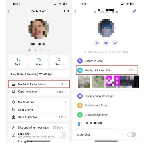 select Media, Links and Files | Recover Deleted Photos from iPhone