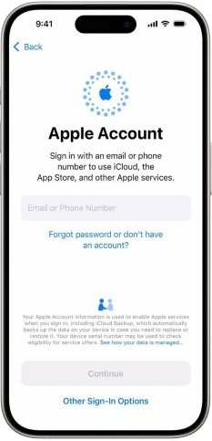 removed Apple ID | Find Your Apple ID Password Without Resetting It