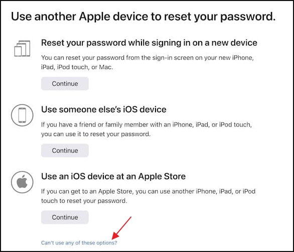 choose Can’t use any of these options | Reset Apple ID By Email