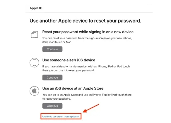 click Continue Anyway | Forgot Apple ID Password