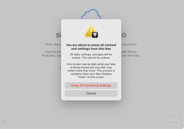 confirm the erase Mac | Can’t Sign Out of Apple ID on iPhone