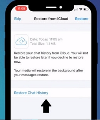 Restore from iCloud Backup | recover deleted whatsApp messages