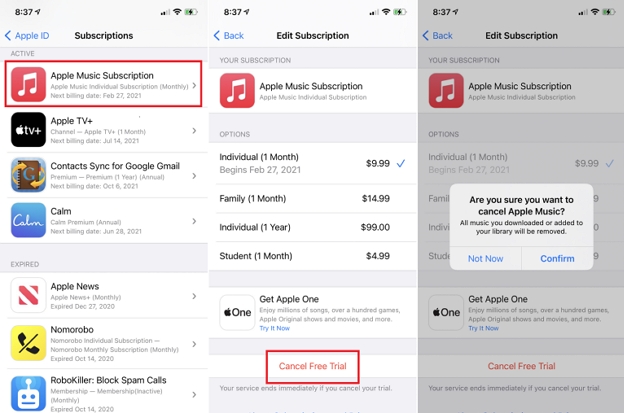 resubscribe to services | Change Apple ID without Losing Data