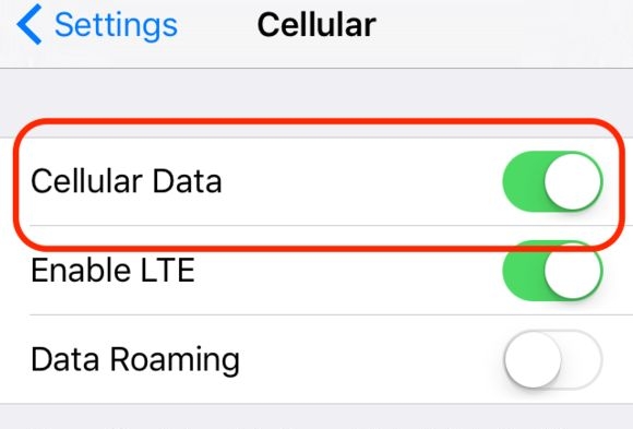 cellular data on | Unable to Check for Update iPhone