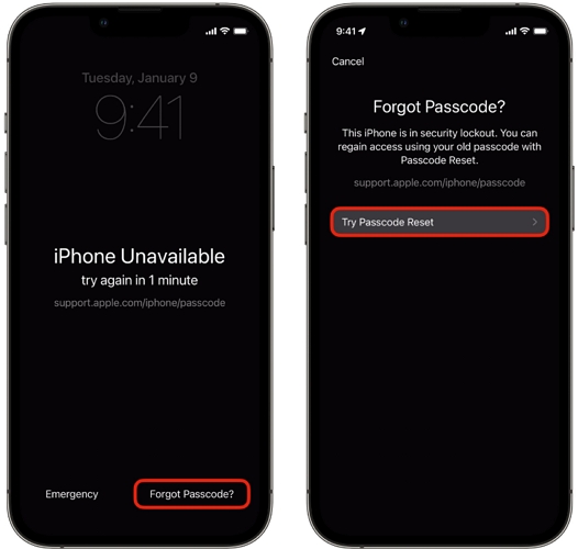 tap Start Password Reset | Bypass Face ID and Passcode on iPhone