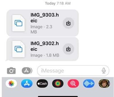 Navigate to the DCIM folder Search for your photos | recover photos from a broken iphone