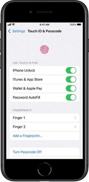 Place your registered finger | how to unlock iphone passcode forgot