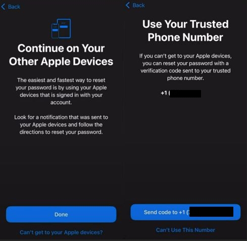 send a code | appleid.apple.com Reset Password