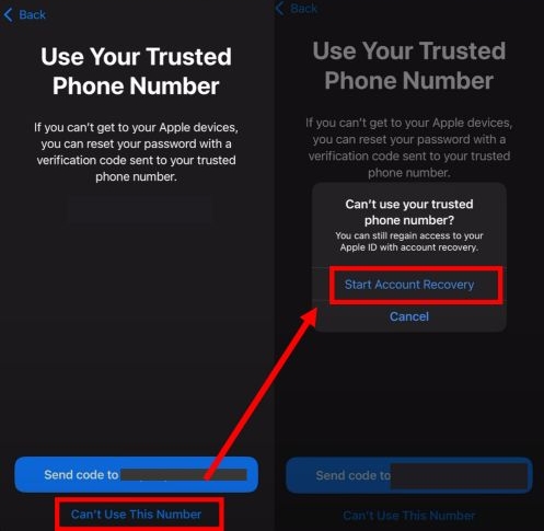verify your identity | appleid.apple.com Reset Password