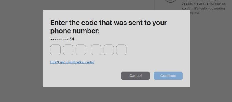 tap Continue | appleid.apple.com Reset Password