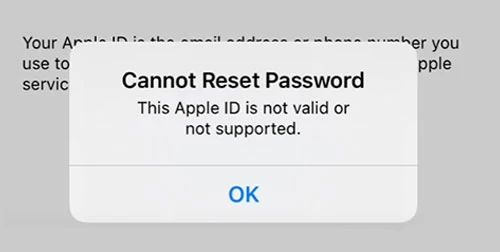 iPhone Settings | This Apple ID Is Not Valid or Not Supported