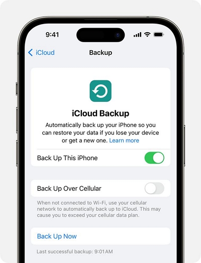Backup This iPhone | Remove MDM From iPad Permanently With Or Without Password