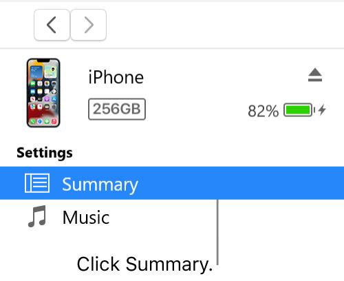 click Summary | Reset Disabled iPhone