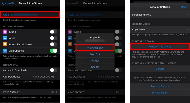 Remove From This Device | Remove Apple ID from iPhone Without Password