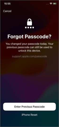 Enter Old Passcode iOS 17 step 2