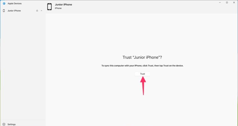 tap Trust | Factory Reset iPad Without Apple ID