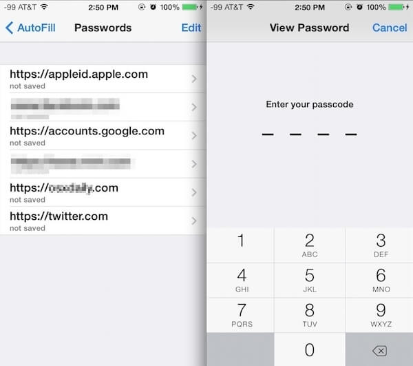 enter screen passcode to see Apple ID password | Unlock iPad Without Password