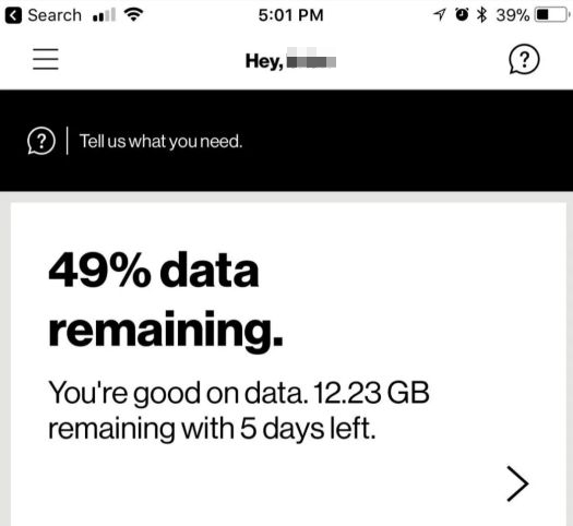 check Cellular plan | iPhone Data Not Working