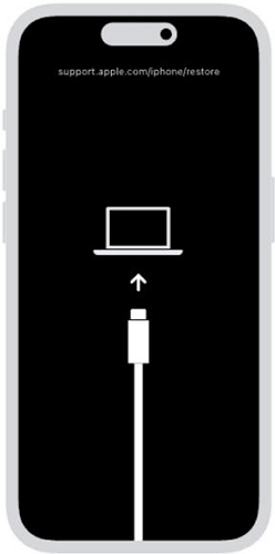 iPhone in Recovery Mode | Fix iPhone Error 4013
