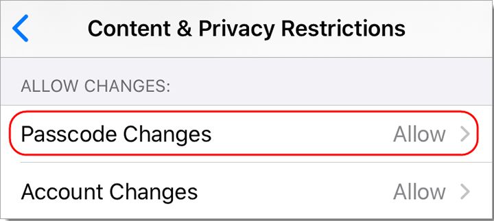 choose Allow | Remove Passcode from iPad