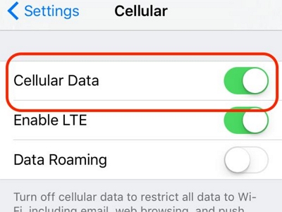 Cellular Data Options | Unlock iPhone Passcode Without SIM Card