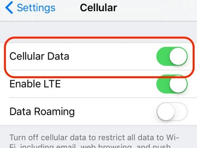 セルラーデータオプション | SIMカードなしでiPhoneのパスコードを解除する