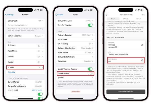 turn on Data Roaming | Unlock iPhone for International SIM Card 