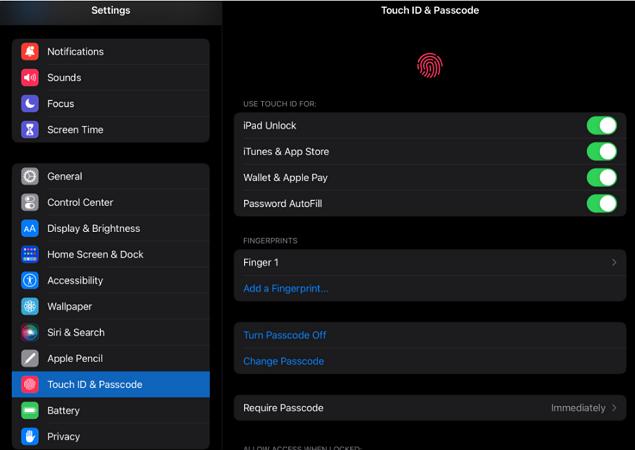 select Face ID and Passcode | iPad Requires Passcode After Restarting