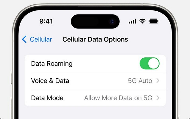 disabled roaming | iPhone Data Not Working