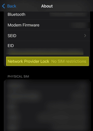 No SIM restrictions | Unlock iPhone for International SIM Card 