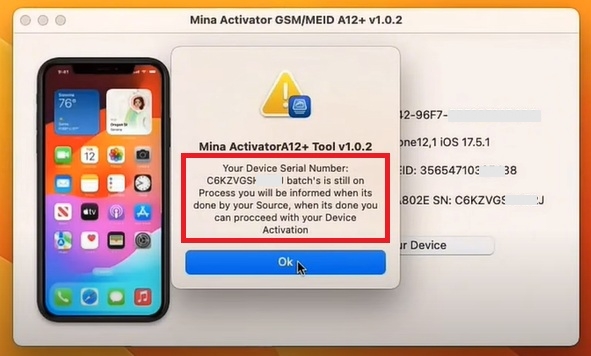 processing batch | Mina Activator