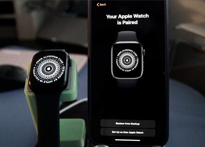 Reset Apple Watch After Too Many Passcode Attempts